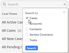 CaseSearchOptions.png