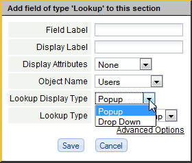 Addlookupfield displaytypes.png